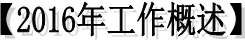 【2016年工作概述】