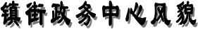 鎮街政務中心風貌