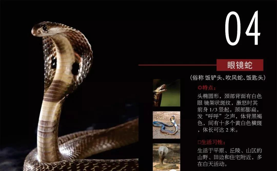 圖片5.png